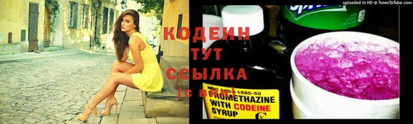 прущий лед Богородицк