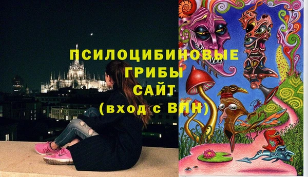 синтетический гашиш Богородск